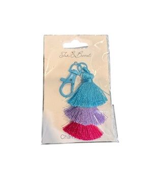 Blue, Purple and Pink Tassel Keychain Charm